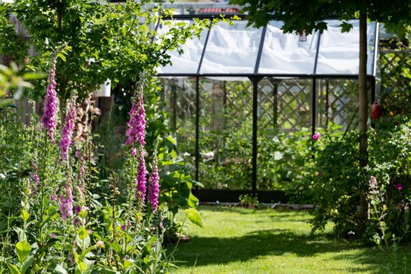 Gartenfotograf Rostock - Gaertnern in der Stadt