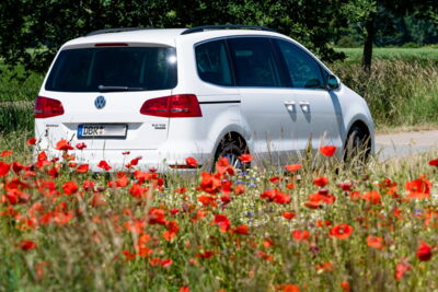 Fotografenauto fotowild