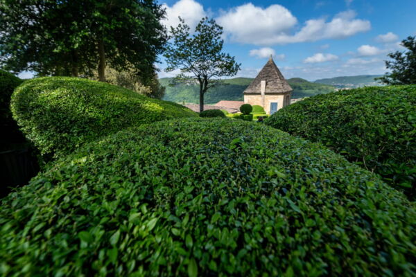 Gartenfotografin Margit Wild - Blick durch die Buchsbaumkugeln