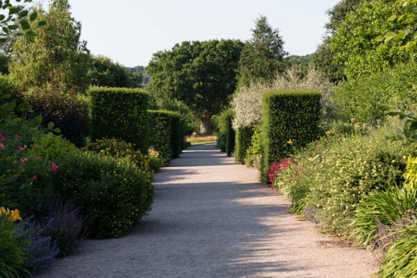 Gartenfoto Englischer Garten, Weg im RHS Garden Rosemoor