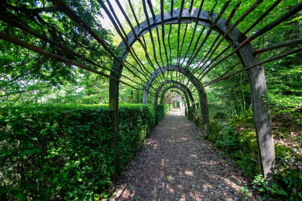 Gartenfotografin Margit Wild - Grüner Weg