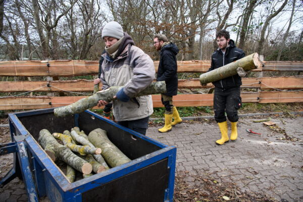 Reportagefotografie Bundesfreiwilligendienst - NABU Wasservogelreservat Wallnau
